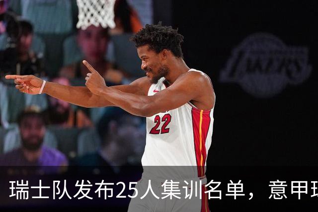瑞士队发布25人集训名单，意甲球员闪亮登场！