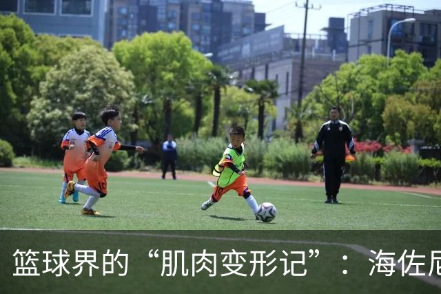 篮球界的“肌肉变形记”：海佐尼亚的传奇转身