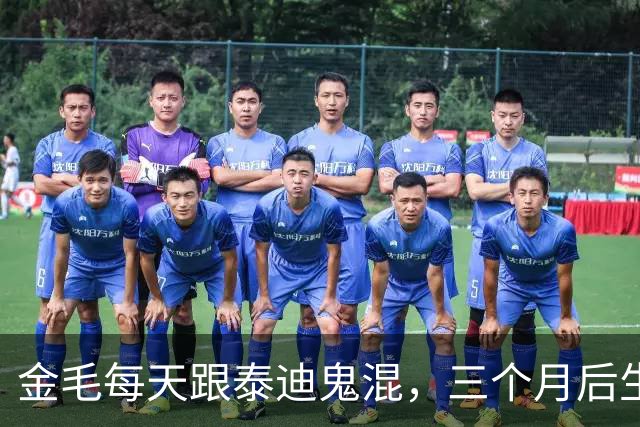 金毛每天跟泰迪鬼混，三个月后生下宝宝，主人一看这是啥玩意